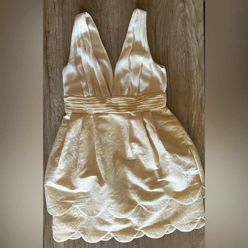 H&M Conscious Limited Party Collection Tulip Scallop Dress - Picture 4 of 5
